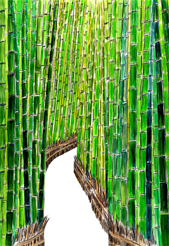 Arashiyama Bamboo Grove, Kyoto