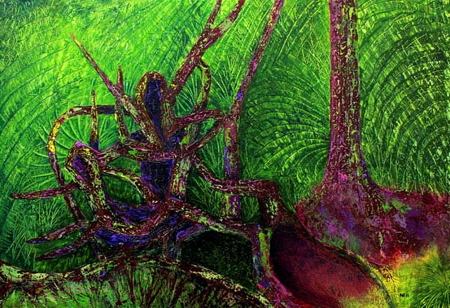 Enchanted Rainforest