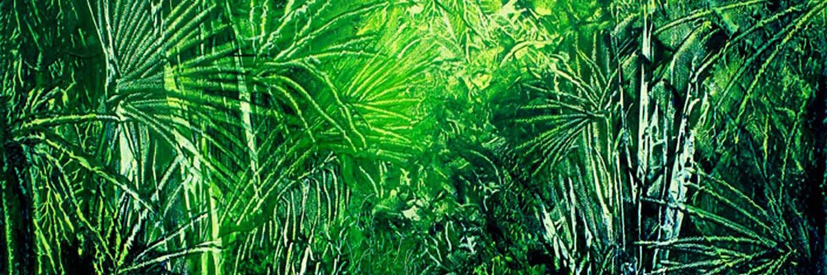 Rainforests of New Zealand paintings