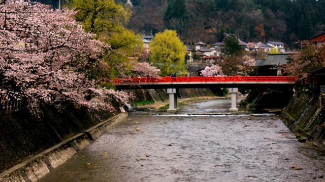 Takayama River