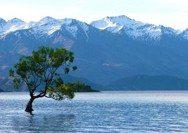Lake Wanaka